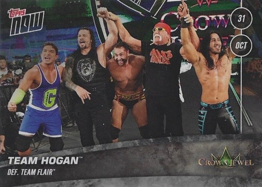 Team Hogan DEF. Team Flair
