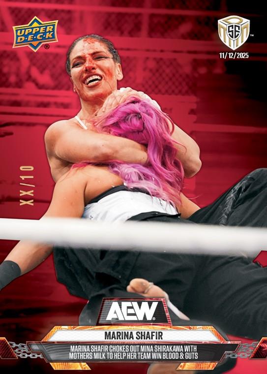 Marina Shafir – Marina Shafir Chokes Out Mina Shirakawa With Mothers Milk to Help HER Team Win Blood & Guts