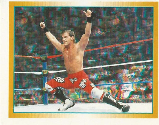 WWF Merlin Stickers 1995 Shawn Michaels #79