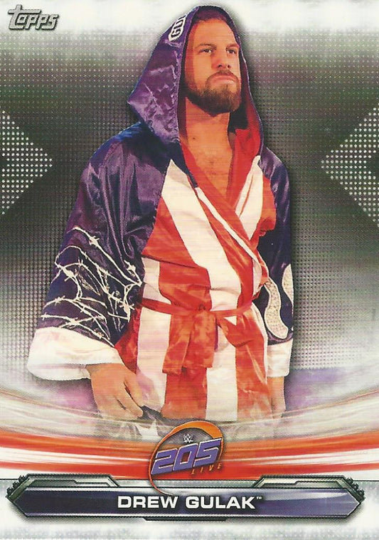 WWE Topps Raw 2019 Drew Gulak #79