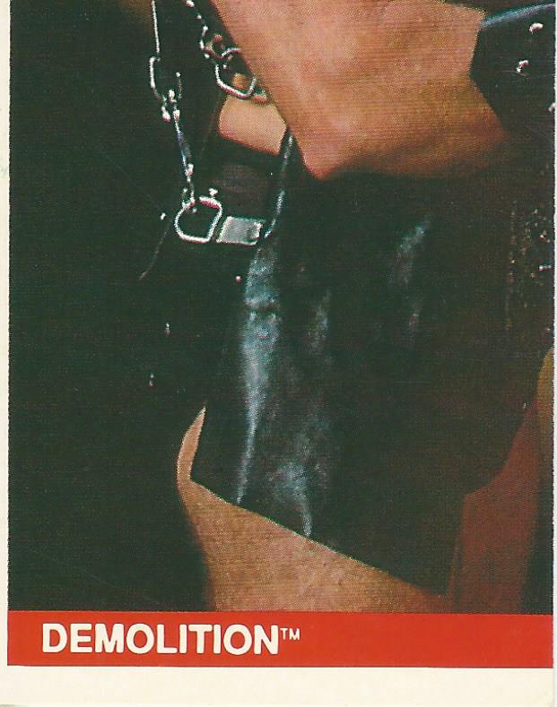 WWF Merlin Sticker Collection 1990 Demolition #79