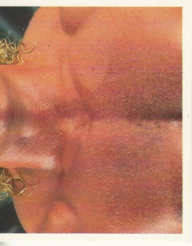 WWF Merlin Stickers 1991 Sid Justice #79