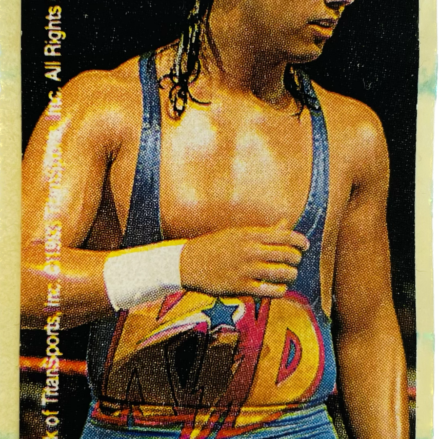 WWF Dunkin Bubble Gum Stickers (1993) No. 7 1-2-3 Kid PW Catalog
