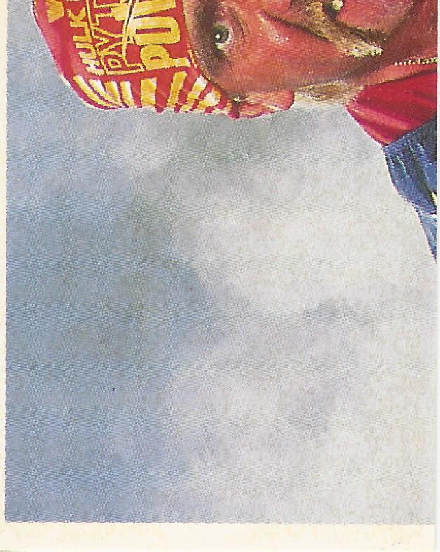 WWF Merlin Stickers 1991 Hulk Hogan #7