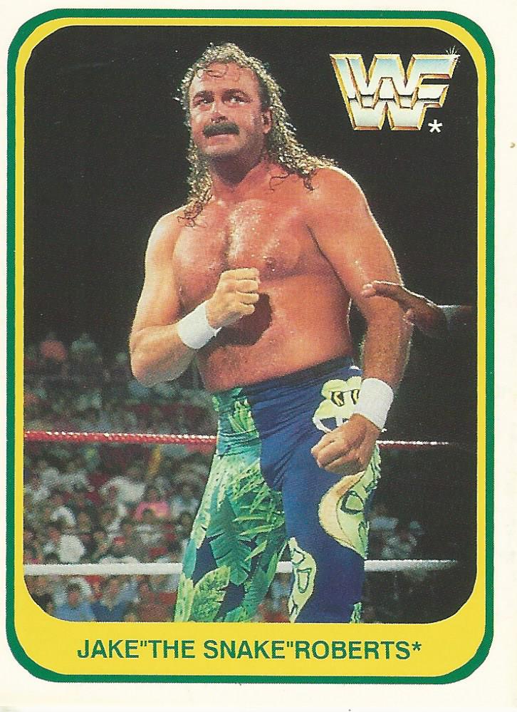 WWF Merlin 1991 Jake the Snake Roberts #7