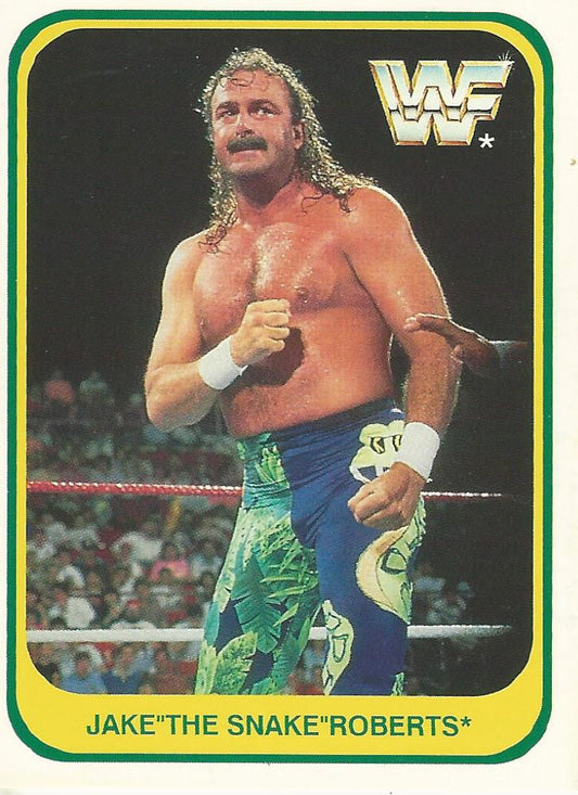 WWF Merlin 1991 Jake the Snake Roberts #7