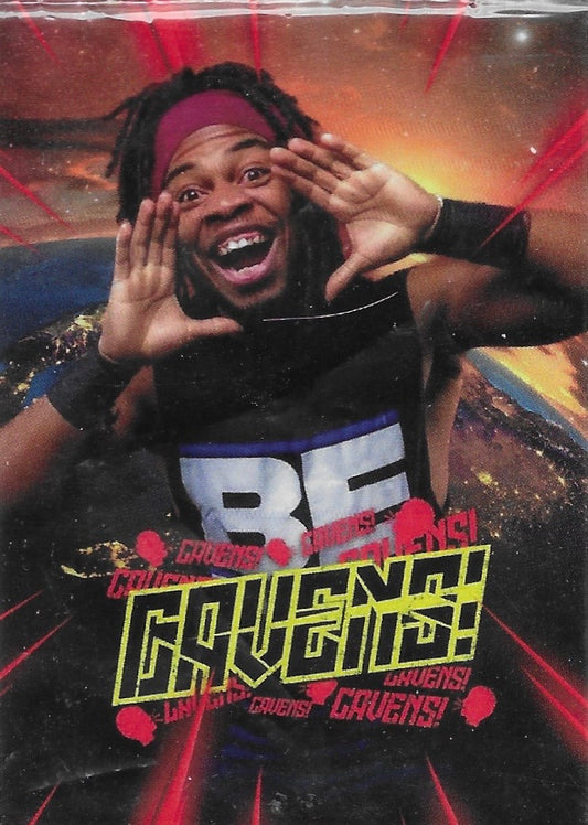 Delynn Cavens trading card PWcatalog