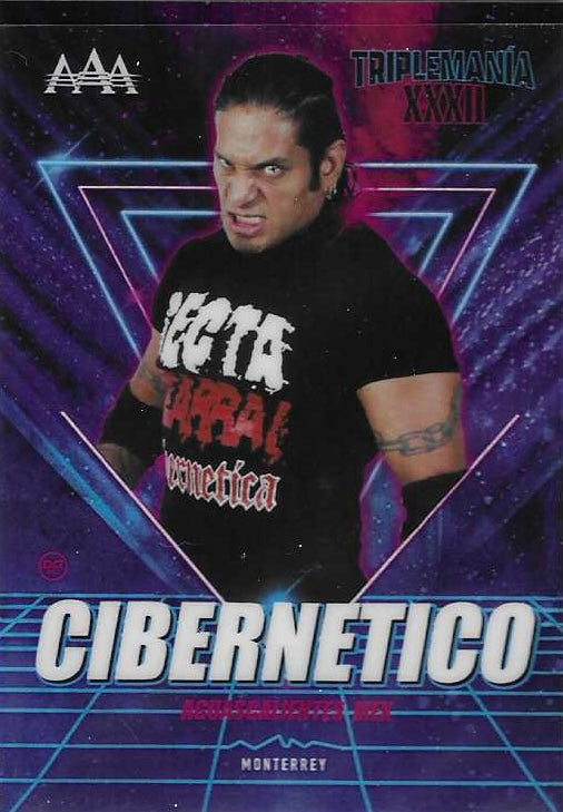 Cibernetico