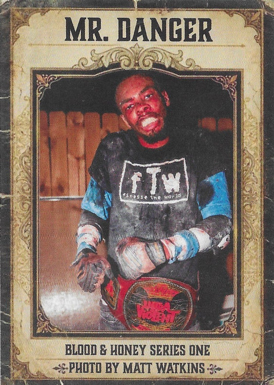MR. Danger Trading Card PWcatalog