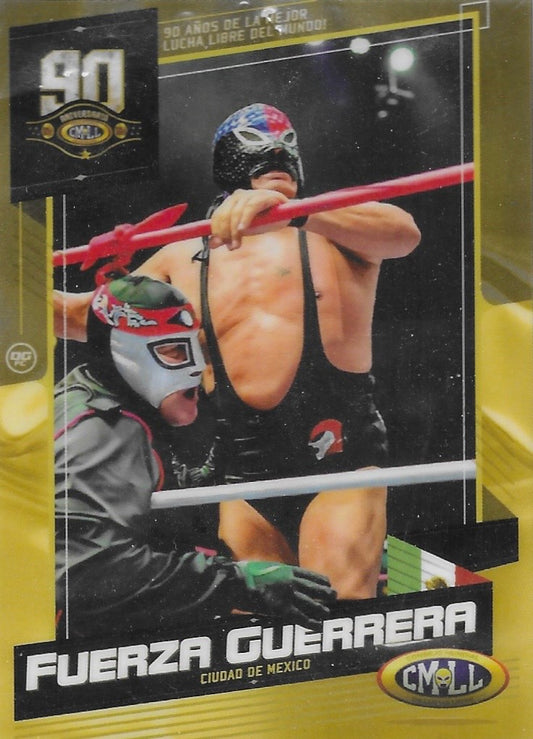 Fuerza Guerrera trading card PW Catalog