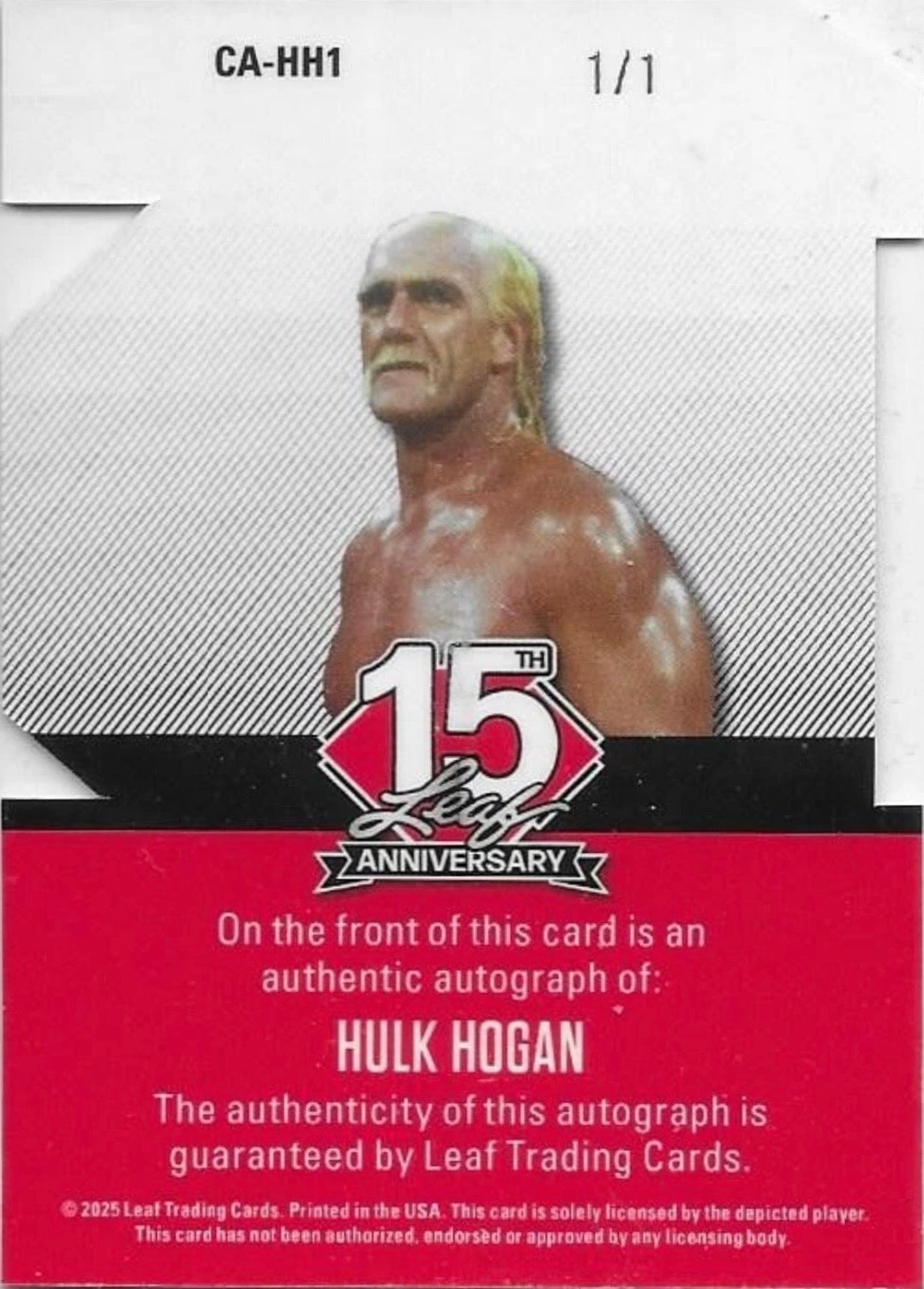 Hulk Hogan