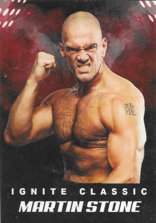 Martin Stone trading card PW Catalog