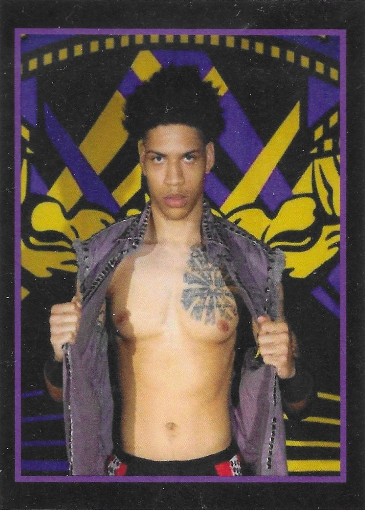 “The Wild Heart” EJ Swanson trading card PW Catalog