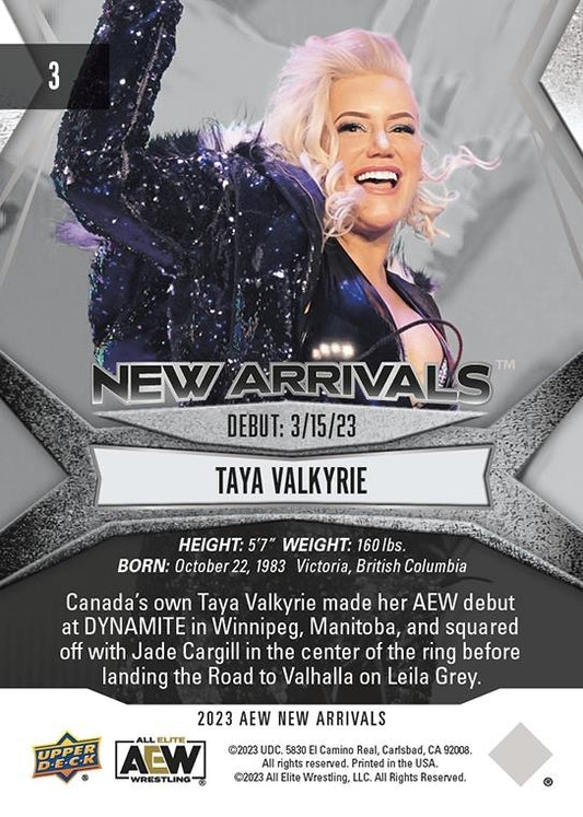 Taya Valkyrie - image 2