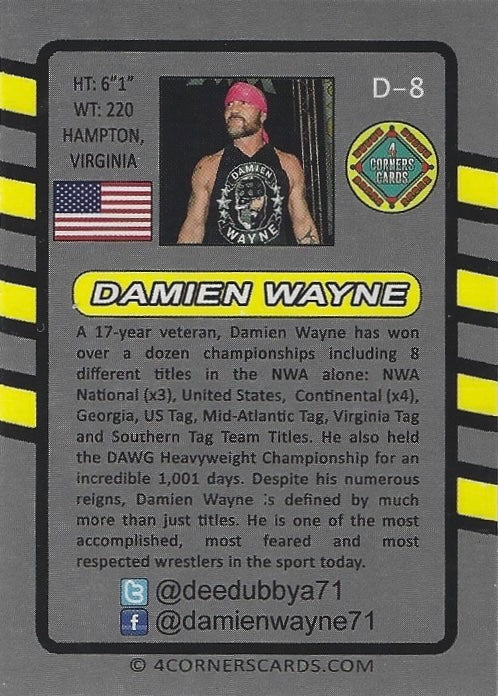 Damien Wayne