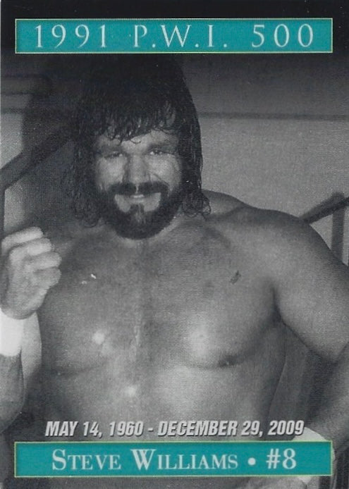 Steve Williams