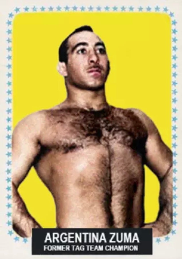 Argentina Zuma trading card PW Catalog