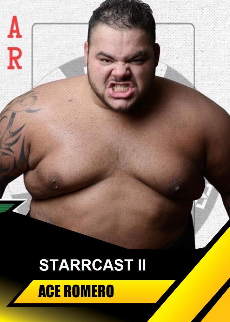 ACE Romero trading card PW Catalog