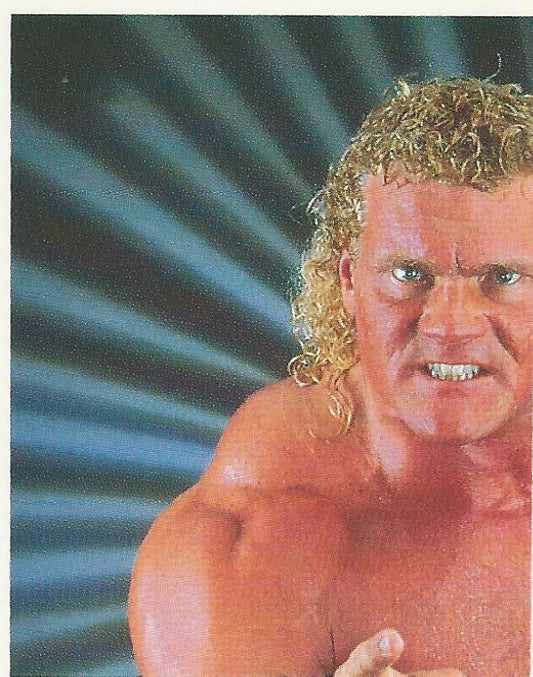 WWF Merlin Stickers 1991 Sid Justice #80