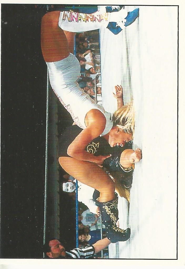WWF Panini 1995 Sticker Collection Alundra Blayze #80