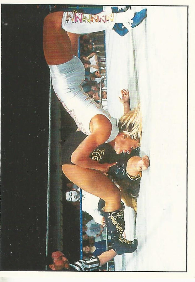 WWF Panini 1995 Sticker Collection Alundra Blayze #80