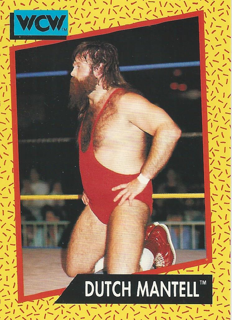 WCW Impel 1991 Dutch Mantell #80