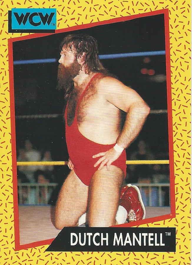 WCW Impel 1991 Dutch Mantell #80