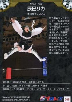 Rika Tatsumi - image 2