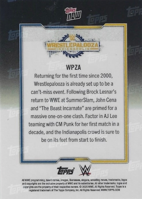 Wrestle Palooza – Cena / Lesnar trading card PW Catalog