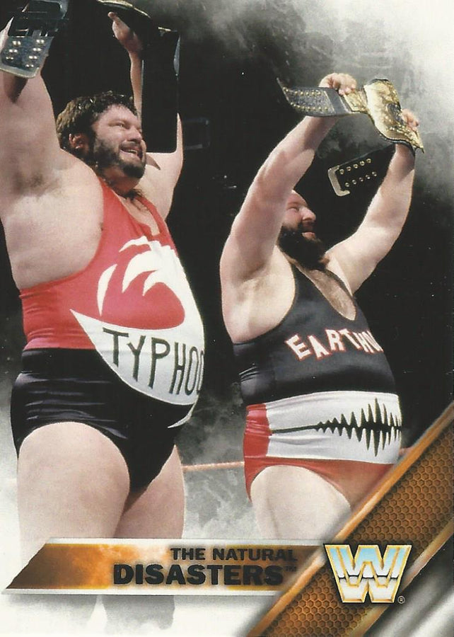 WWE Topps 2016 Natural Disasters #81