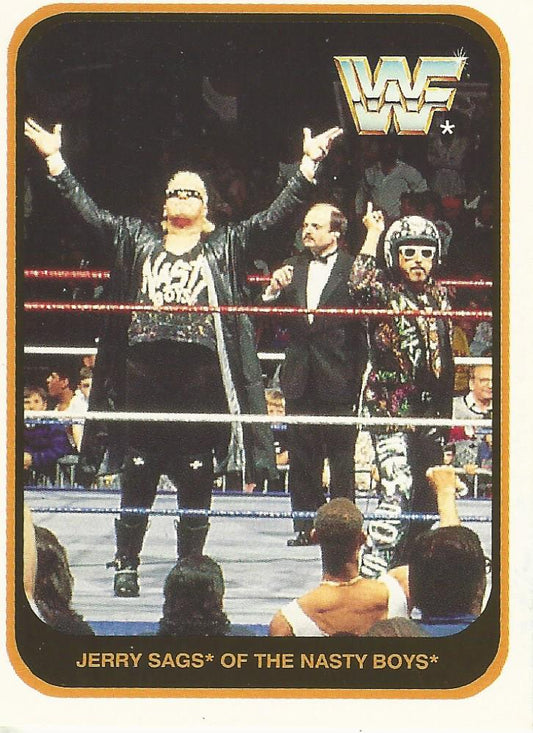 WWF Merlin 1991 The Nasty Boys #81