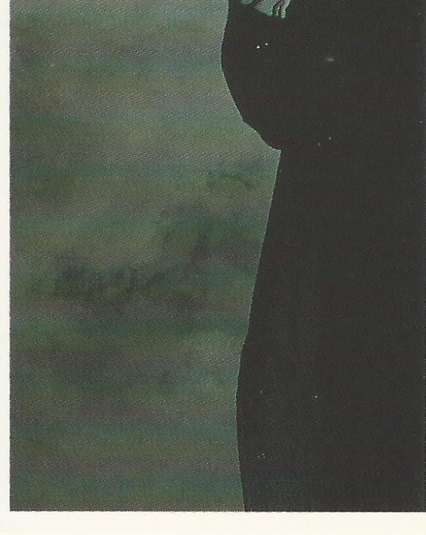 WWF Merlin Stickers 1992 Undertaker #81