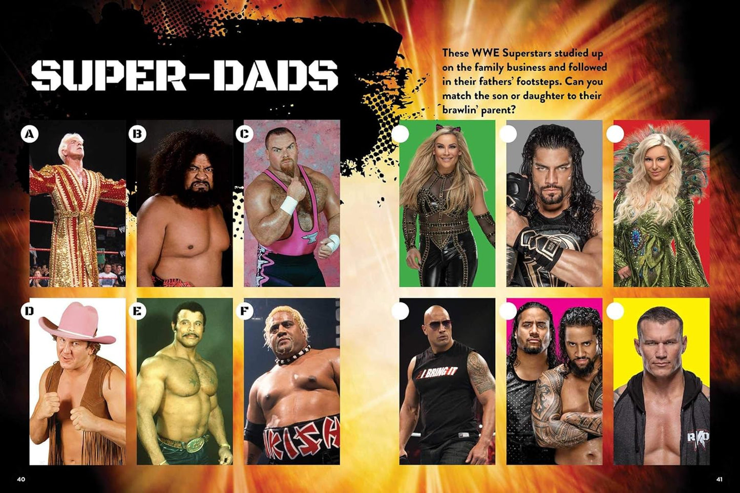 WWE Superstars Ultimate Sticker and Activity Book PW Catalog