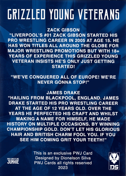 Grizzled Young Veterans trading card PWcatalog
