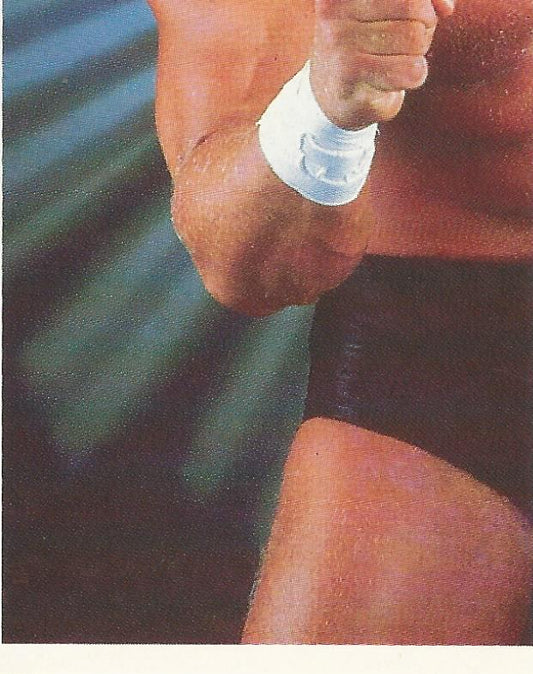 WWF Merlin Stickers 1991 Sid Justice #82