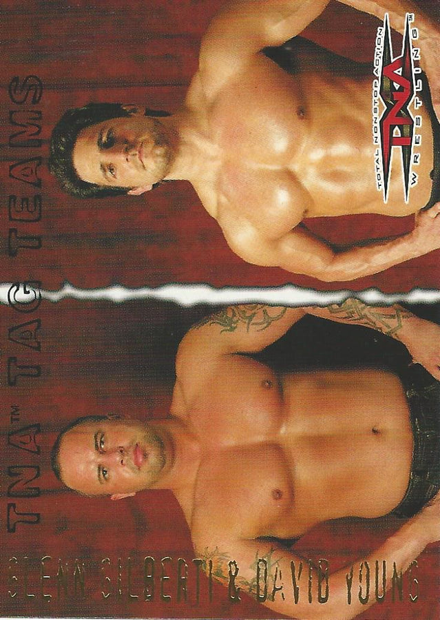 TNA Pacific 2004 Glen Gilberti and David Young Tag Team #7