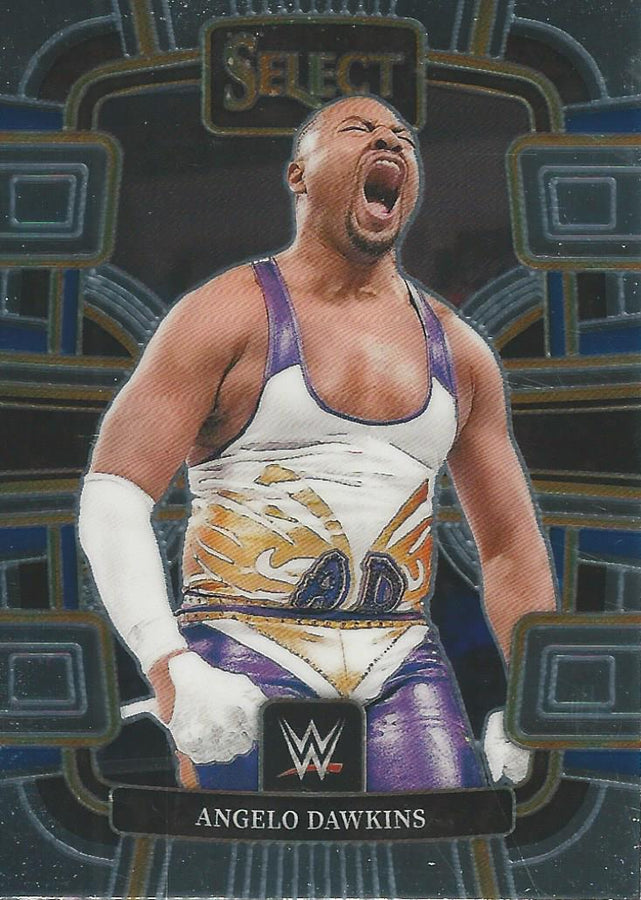 WWE Panini Select 2024 Angelo Dawkins #82