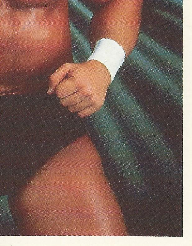 WWF Merlin Stickers 1991 Sid Justice #83