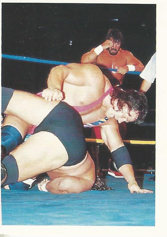 WCW Euroflash 1992 Sticker Steiner Brothers #83