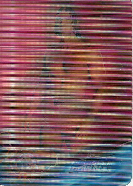 WWE Prominter Animotion 2005 Stevie Richards #83