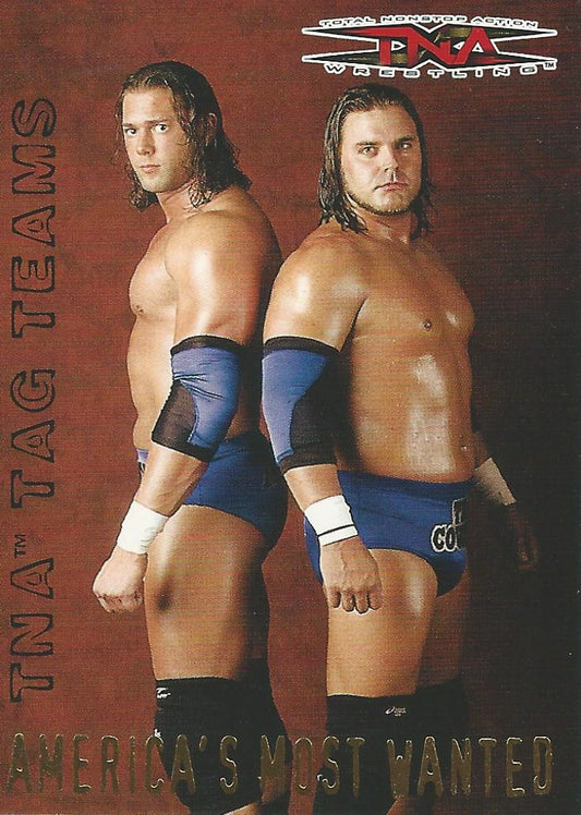 TNA Pacific 2004 Americas Most Wanted Tag Team #8