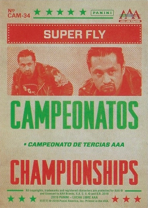 Super FLY - image 2