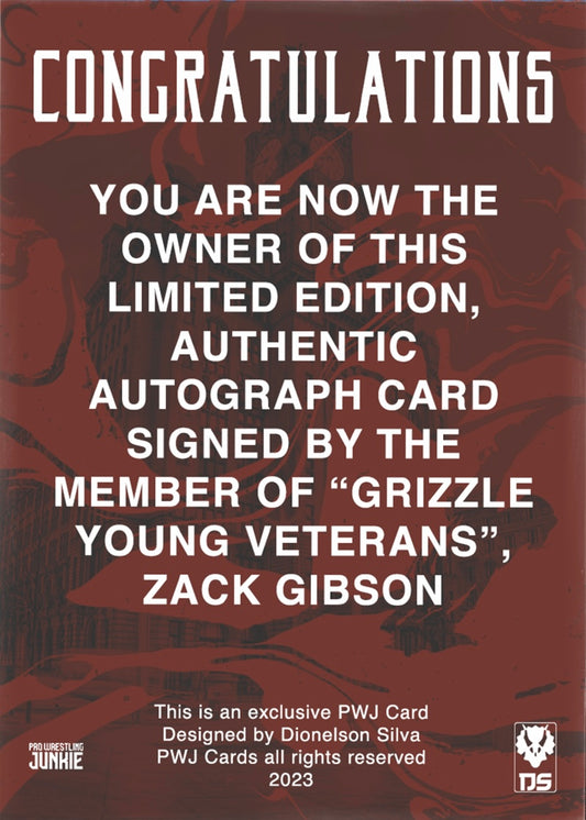 “Grizzled Young Veterans” Zack Gibson - image 2
