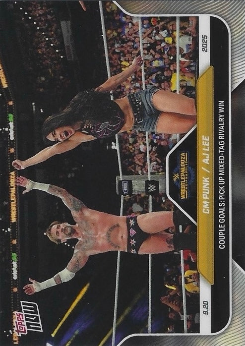 CM Punk / AJ LEE Couple Goals: Pick UP Mixed-Tag Rivalry Win