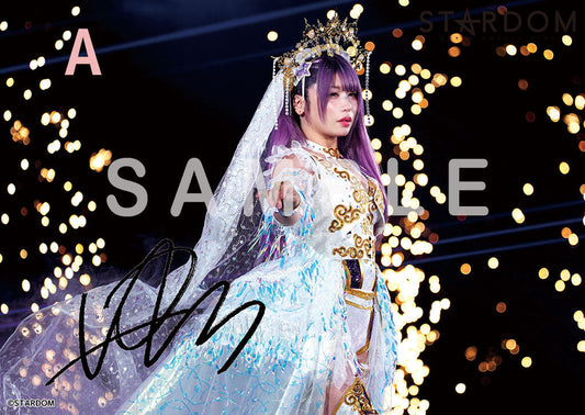 Tam Nakano Memorial Portrait A Other Goods PW Catalog