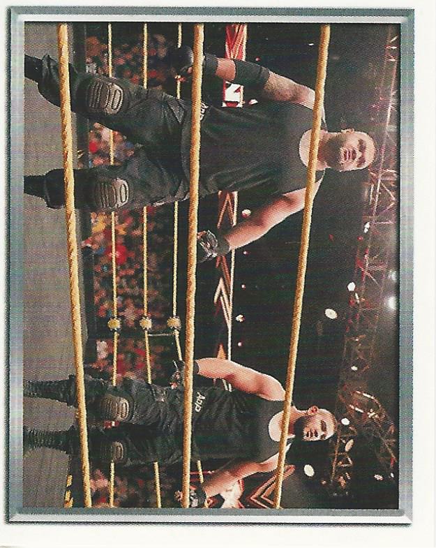 WWE Topps 2018 Stickers AOP #84
