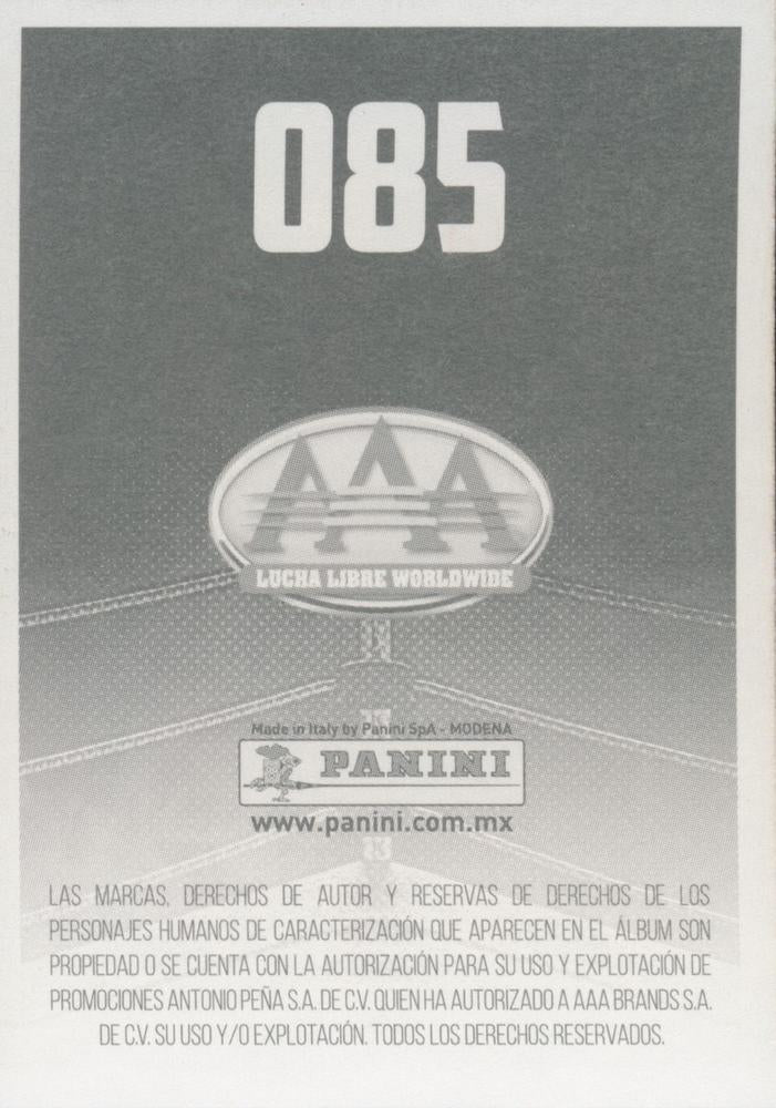 Averno / Super FLY / Chessman trading card PW Catalog