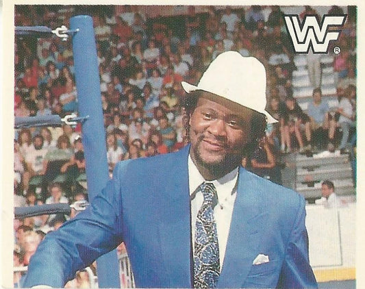 WWF Merlin Sticker Collection 1990 Slick #85