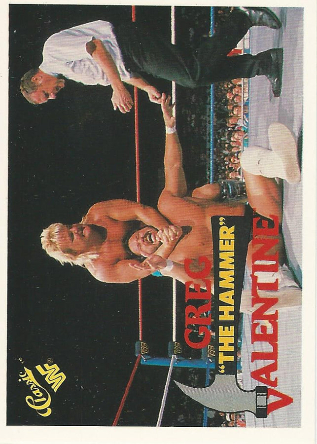 WWF Classic Trading Cards 1990 Greg Valentine #86