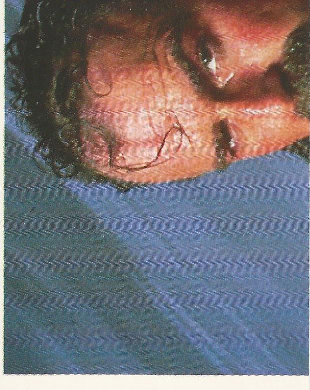 WWF Merlin Stickers 1991 Jake the Snake Roberts #86